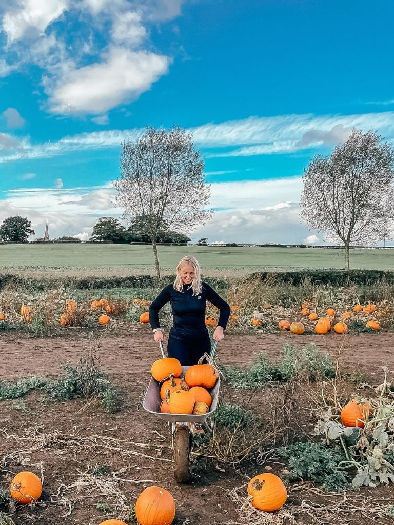 Pumpkin Picking Near London: 15 BEST Patches in 2022