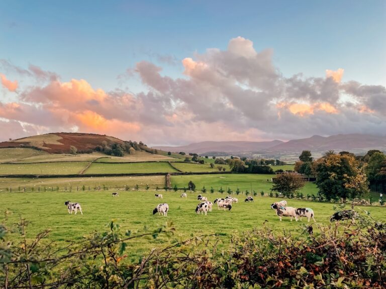 Things to do in the Brecon Beacons: 15 Incredible Ideas