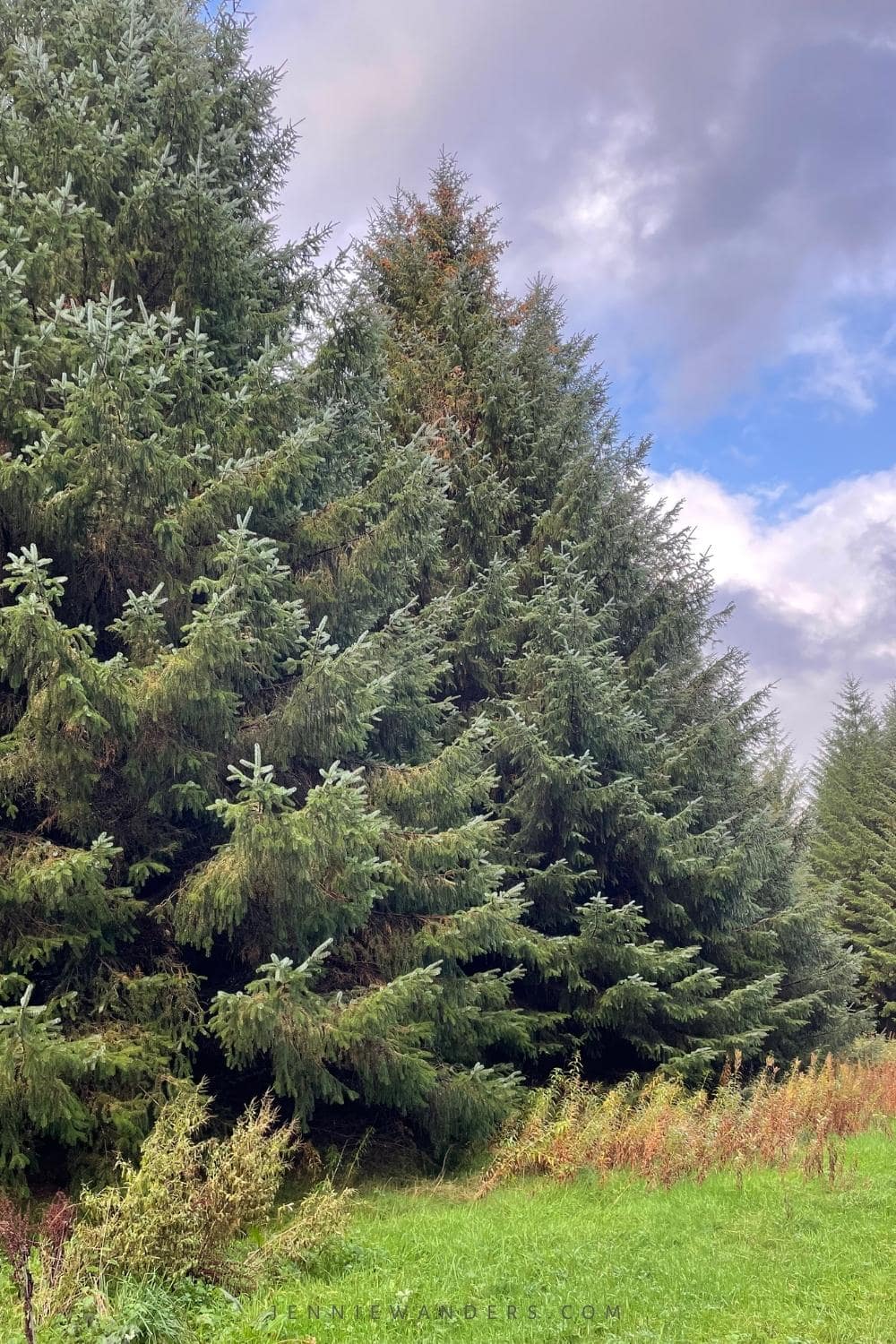 things to do in brecon beacons