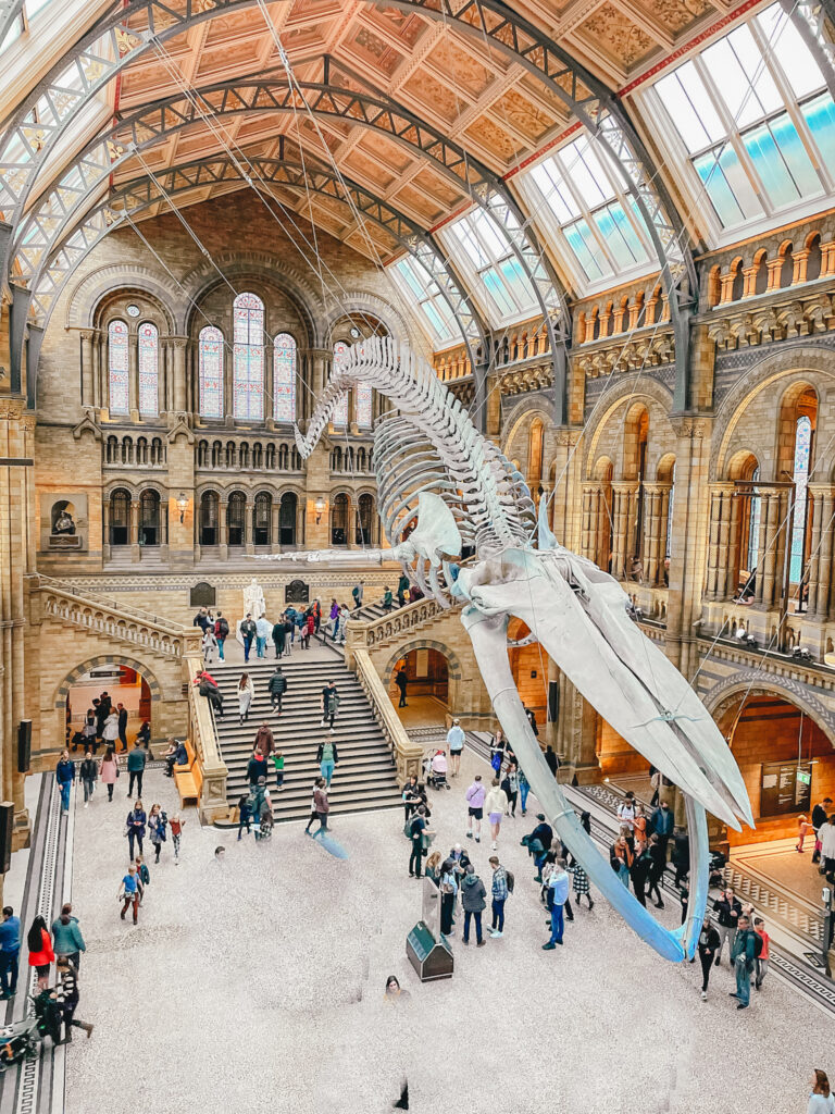27 Free things to do in London: A Local’s Guide