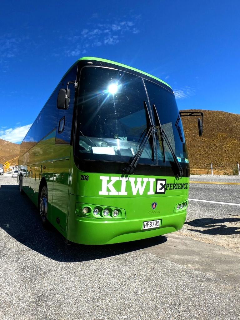 The Kiwi Experience Bus: An Honest Review