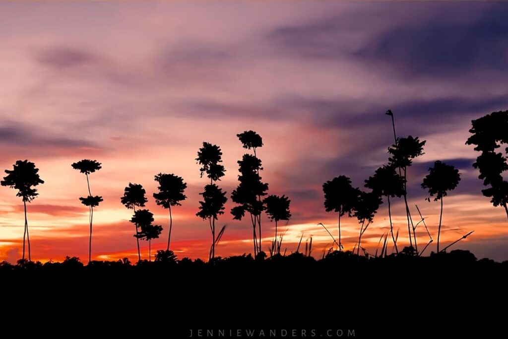 first backpacking trip