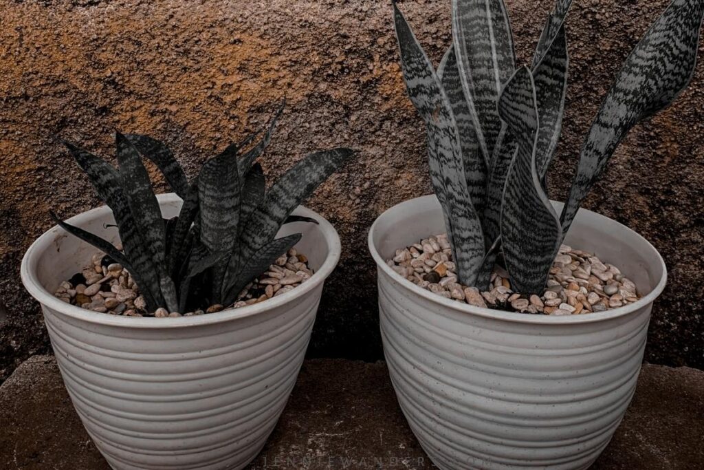 first backpacking trip