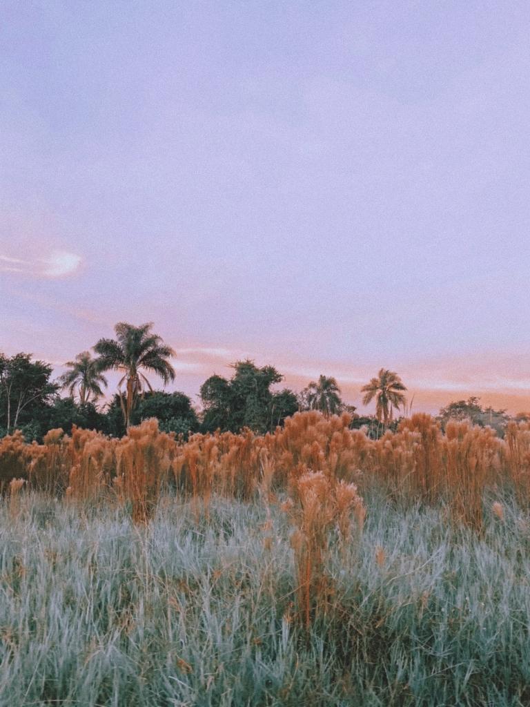 How To Know If You’re Ready To Travel Solo