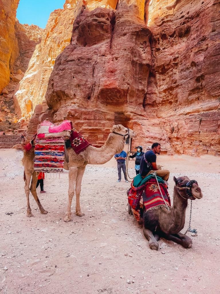Tipping in Jordan: Everything You Need To Know