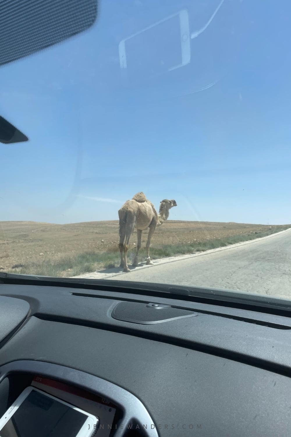 driving in jordan