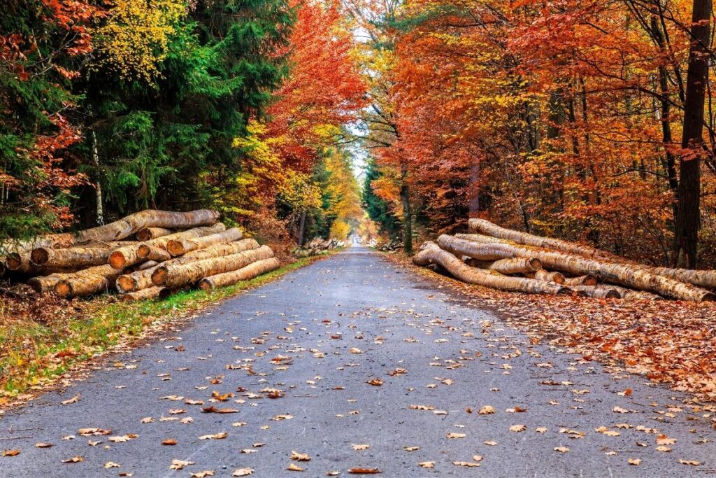 best time to go interrailing 