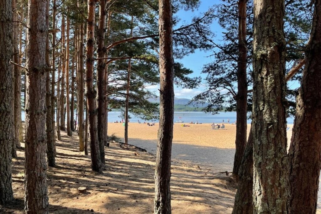 going interrailing alone 