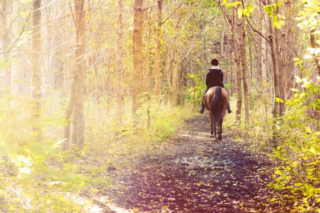 Adventure in the Lake District