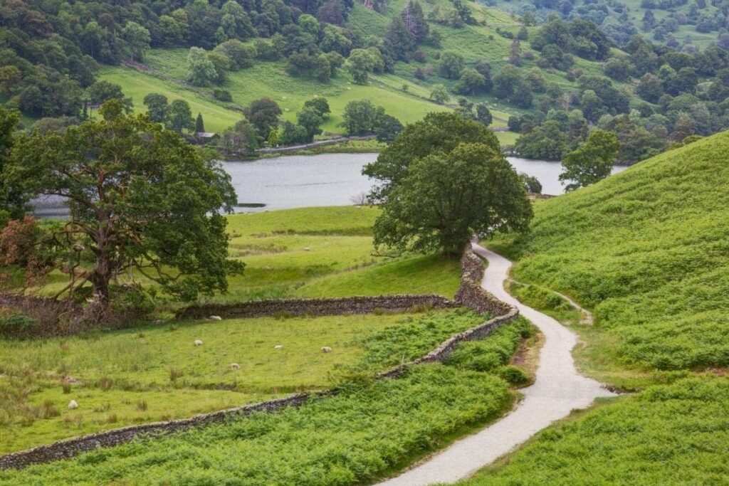 easy walks in the lake district