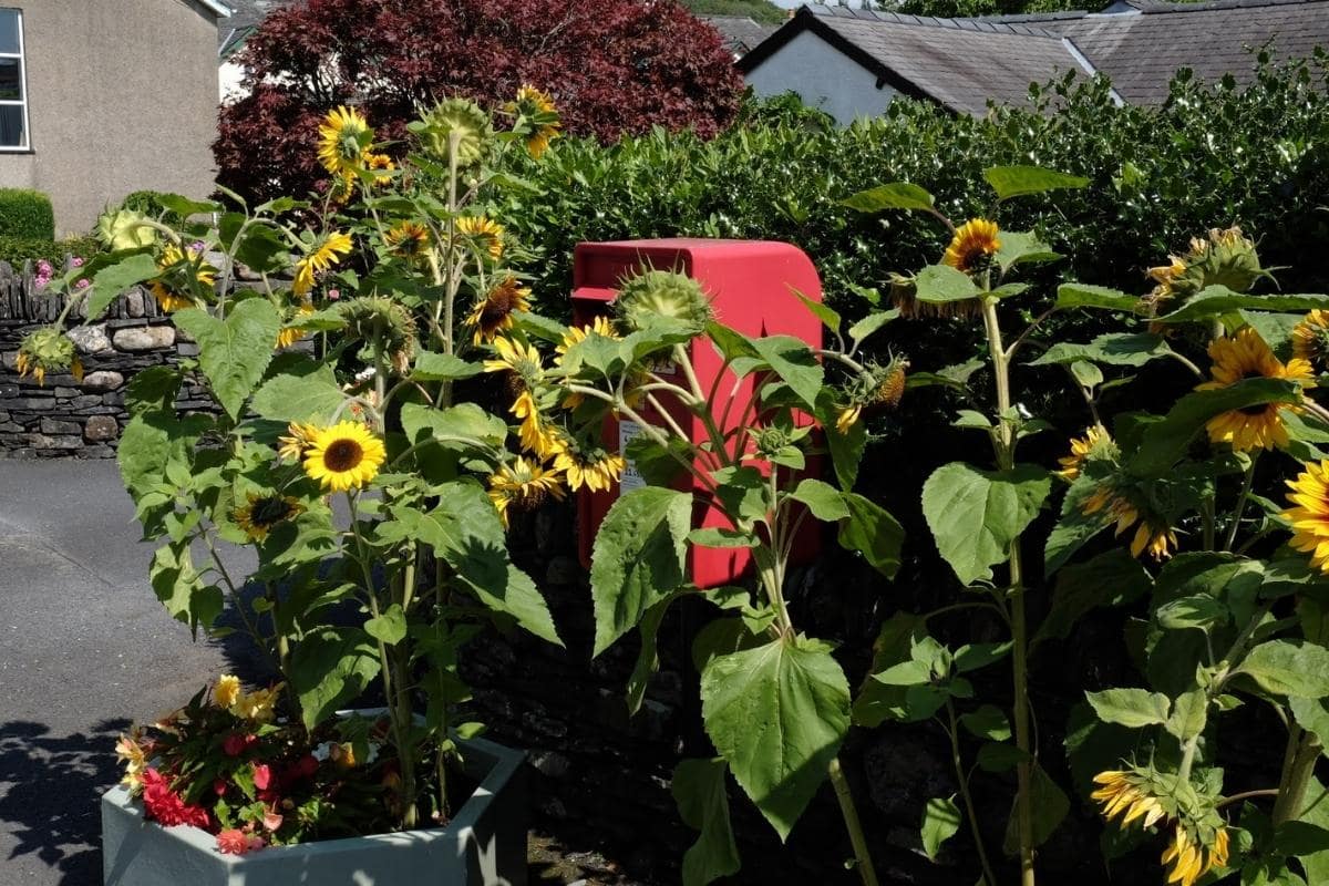 easy walks in the lake district