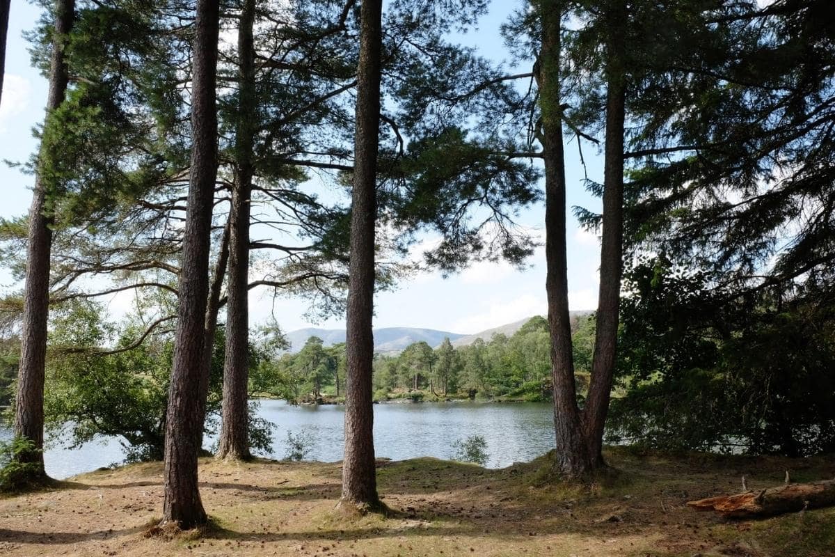 easy walks in the lake district