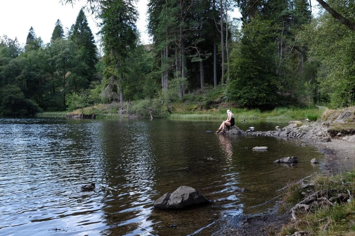 easy walks in the lake district